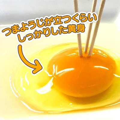 ひまわりたまご40個程度(破卵補償10個含)
