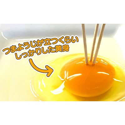 初たまご　プレミアムひまわりたまご108個(Sサイズ98個程度+破卵補償10個)