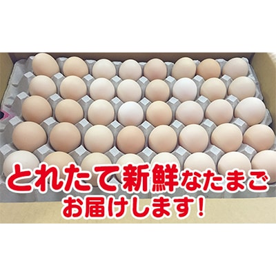 初たまご　プレミアムひまわりたまご108個(Sサイズ98個程度+破卵補償10個)