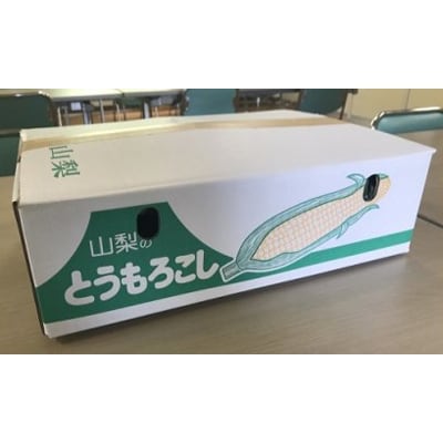 採れたて!米長さんの家のとうもろこし「ゴールドラッシュ」約5kg(10～15本)