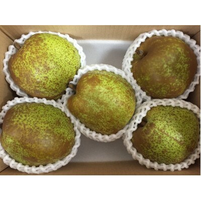 ラ・フランス大玉4～6玉　約2kg