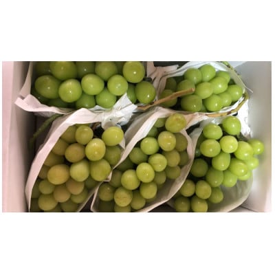 【訳あり】シャインマスカット　約1.8～2kg(3～6房)