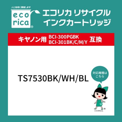 エコリカ 【キヤノン用】BCI-301+300/5MP互換リサイクルインク　ECI-C301-5P