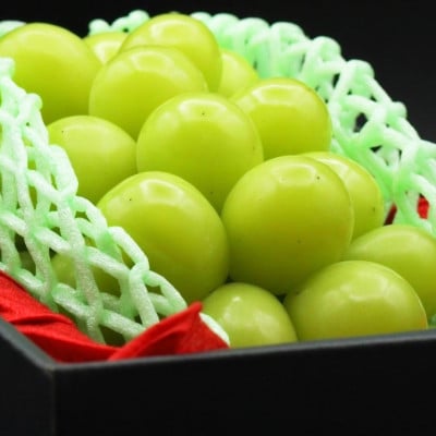 【令和8年度先行予約】贈答用!希少価値の高いシャインマスカット(1房 600g以上)【冷蔵配送】