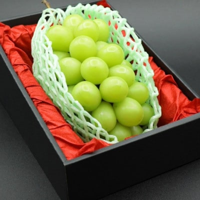 【令和8年度先行予約】贈答用!希少価値の高いシャインマスカット(1房 700g以上)【冷蔵発送】