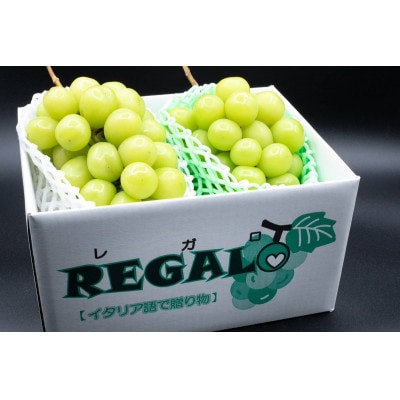 【発送月固定定期便】頬張る幸福感 ～緑の宝石・シャインマスカット～ 1kg以上(2～3房)全2回