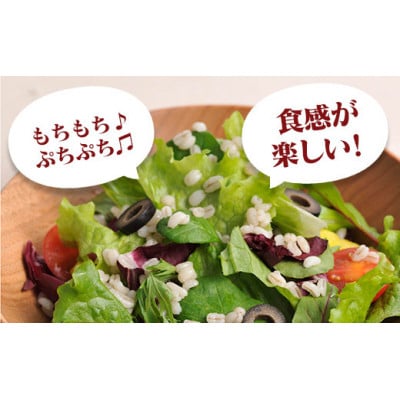 国産もち麦 計4800g 日本国内産