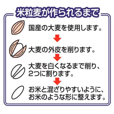 【はくばく】米粒麦　800g×6袋