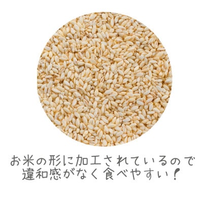 【はくばく】米粒麦スタンドパック(45g×12本)×6袋