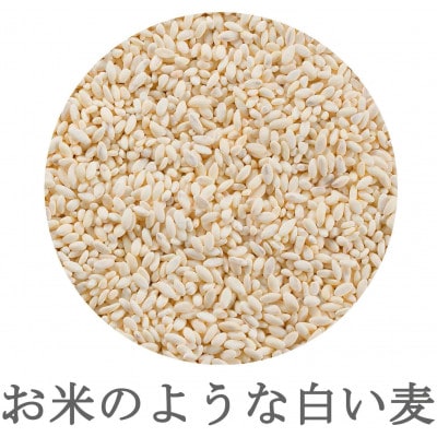 【はくばく】純麦スタンドパック(50g×12本)×6袋