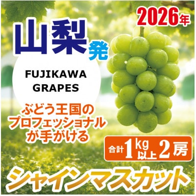 《秀品以上》上級品/【シャインマスカット】/合計1.0kg以上(2房)