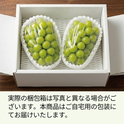 《秀品以上》上級品/【シャインマスカット】/合計1.0kg以上(2房)