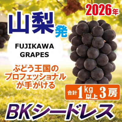 《秀品以上》上級品/【BKシードレス】/合計1.0kg以上(3房)