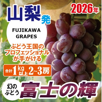 《超希少品種!》上級品/【富士の輝】/合計1.0kg以上(2～3房)