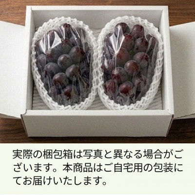 《超希少品種!》上級品/【富士の輝】/合計1.0kg以上(2～3房)