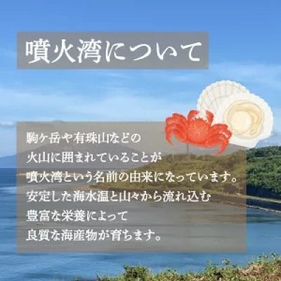 【地元現役漁師が厳選!!】ボイル・毛ガニ2尾(1尾400g前後)