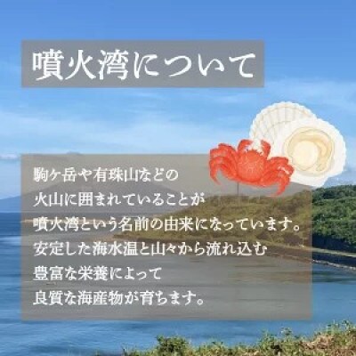 スモークサーモン 120g × 3パック