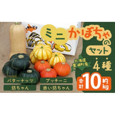 ミニかぼちゃのセット4種　合計約10kg(バターナッツ・プッチーニ・坊ちゃん・赤い坊ちゃん)