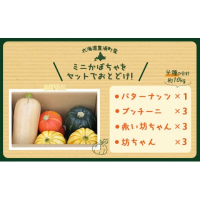 ミニかぼちゃのセット4種　合計約10kg(バターナッツ・プッチーニ・坊ちゃん・赤い坊ちゃん)