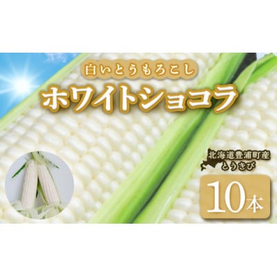ホワイトショコラ　白いとうもろこし 10本