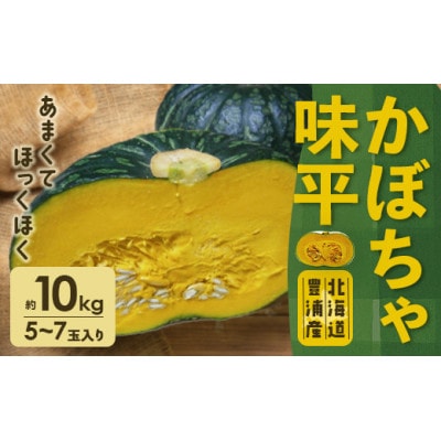 北海道豊浦産 かぼちゃ 味平 約10kg (5～7玉)