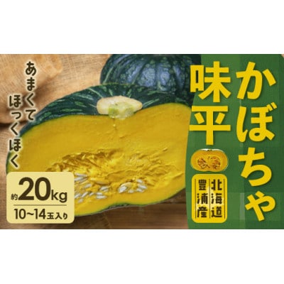 北海道豊浦産 かぼちゃ 味平 約20kg (10～14玉)