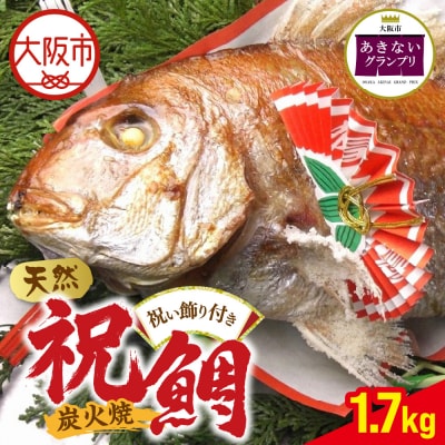 天然祝鯛　炭火焼 1.7kgアップ_OS389-0001-01