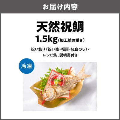 天然祝鯛　炭火焼　1.5kgアップ_OS389-0001-02