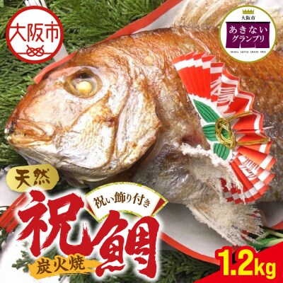 天然祝鯛　炭火焼　1.2kgアップ_OS389-0001-03