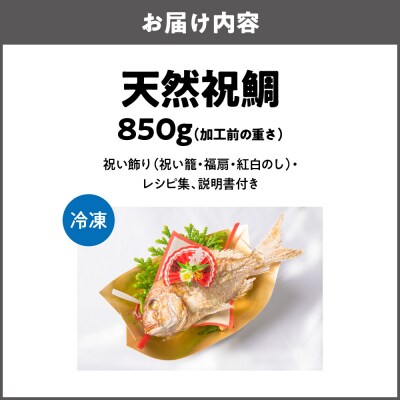 天然祝鯛　炭火焼　850g_OS389-0002-02