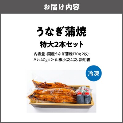 矢作川うなぎ蒲焼 特大2本セット_OS389-0005-01
