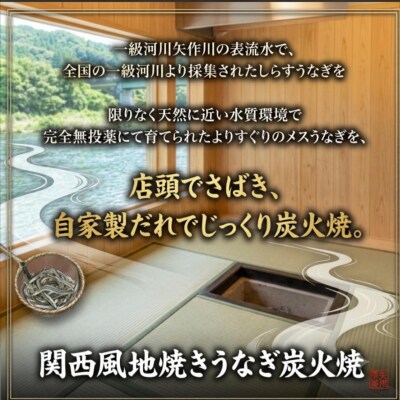 矢作川うなぎ蒲焼 特大2本セット_OS389-0005-01