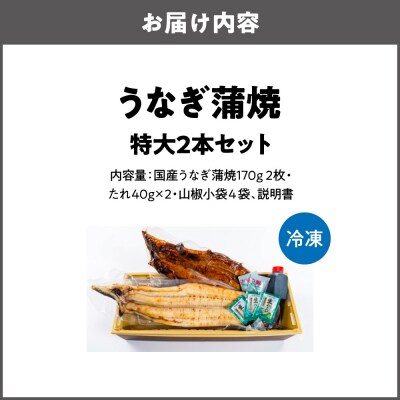 矢作川うなぎ蒲焼 『蒲焼』『白焼き』特大2本セット_OS389-0006-01