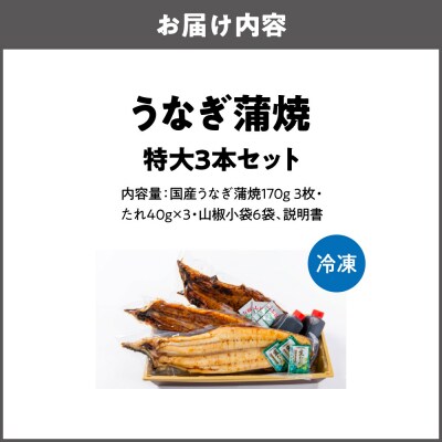 矢作川うなぎ蒲焼 『蒲焼』『白焼き』特大3本セット_OS389-0006-02