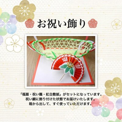 天然祝鯛 炭火焼1.7kg 国産はまぐり100g お食い初めセット_OS389-0007-01