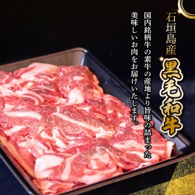 担当者イチオシ!! 石垣島産《黒毛和牛》切り落とし 1kg (500g×2)