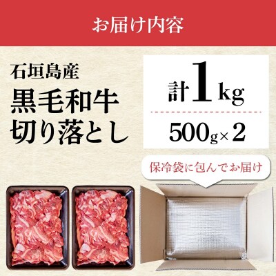担当者イチオシ!! 石垣島産《黒毛和牛》切り落とし 1kg (500g×2)