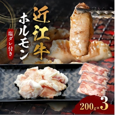 【近江牛】 ホルモン 塩だれ付き 200g×3 (真空冷凍パック入り)