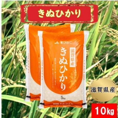 令和7年産 甲良米「キヌヒカリ」白米 10kg