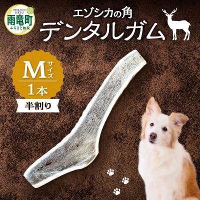 【数量限定】エゾシカの角 デンタルガム Mサイズ 半割1本(中型犬向け)_U004-0006