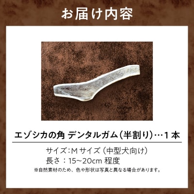 【数量限定】エゾシカの角 デンタルガム Mサイズ 半割1本(中型犬向け)_U004-0006