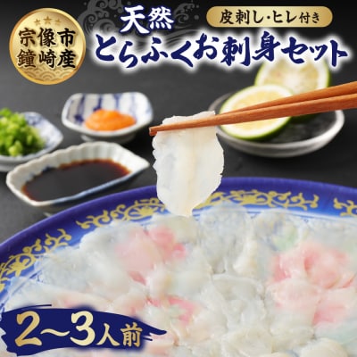 漁師お勧め!天然とらふくてっさ(お刺身セット)(2～3人前)【宗像漁協】_HA0467