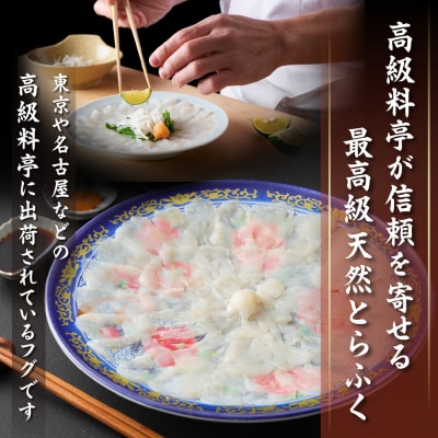 漁師お勧め!天然とらふくてっさ(お刺身セット)(2～3人前)【宗像漁協】_HA0467