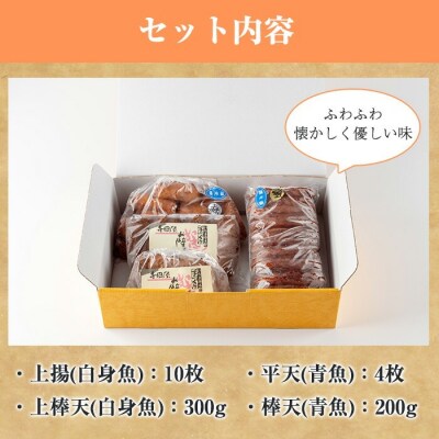 寺田屋 手作りさつま揚げ 白身魚・青魚のつけ揚げ 味比べセット