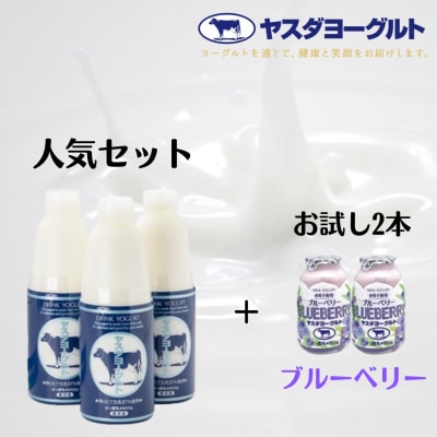 【12/21までの寄附で年内発送】ヤスダヨーグルト 特別お試しセット(ブルーベリー) 