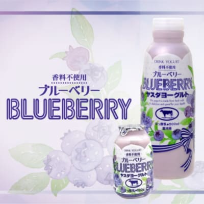 【12/21までの寄附で年内発送】ヤスダヨーグルト 特別お試しセット(ブルーベリー) 