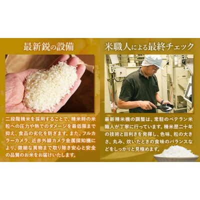 【12ヶ月定期便】阿蘇びより 無洗米 20kg (5kg×4袋)《お申し込みの翌月から出荷》