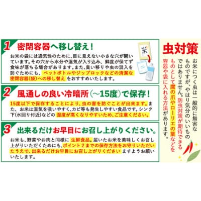 【12ヶ月定期便】阿蘇びより 無洗米 20kg (5kg×4袋)《お申し込みの翌月から出荷》