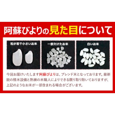 【12ヶ月定期便】阿蘇びより 無洗米 20kg (5kg×4袋)《お申し込みの翌月から出荷》