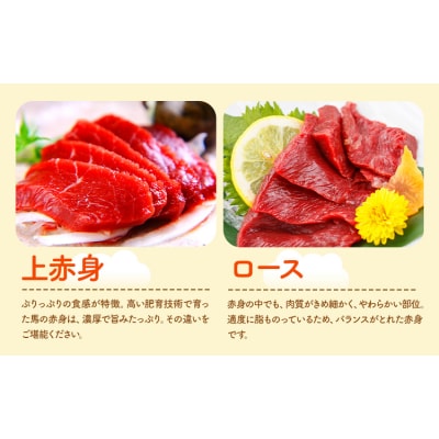 馬刺し 極上 赤身 2種 食べ比べ 《30日以内に出荷予定(土日祝除く)》 